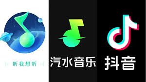 iPhone怎么下汽水音乐？苹果用户专属安装指南